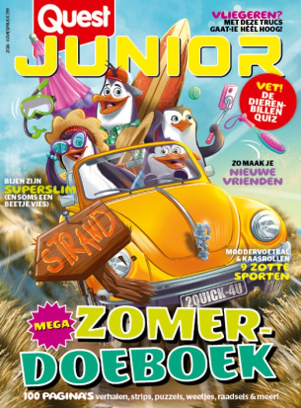 Quest Junior Beoordeling