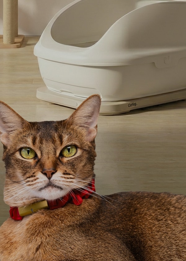 RABO Catlog Pendant レビュー