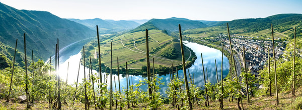 Radreiseprofi Mosel-Radweg Klassiker Bewertung