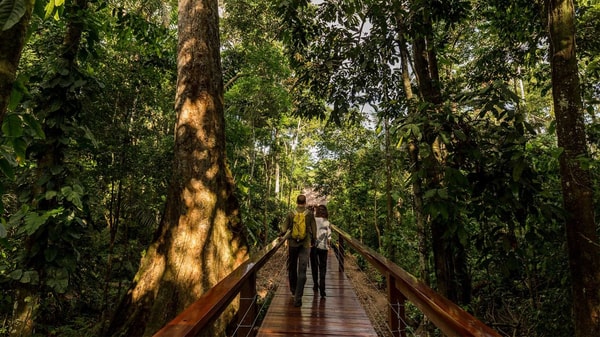 Rainforest Expeditions Posada Amazonas Review