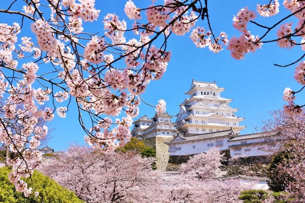Rakuten Travel Experiences Regional JR Pass Reviews