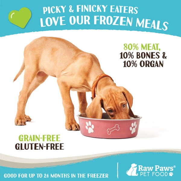 Overview of Raw Paws Pet Food