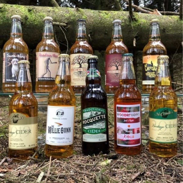 Real Food Hub Mixed Artisan Cider Case Review