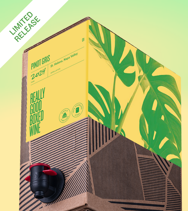 Really Good Boxed Wine Pinot Gris Review