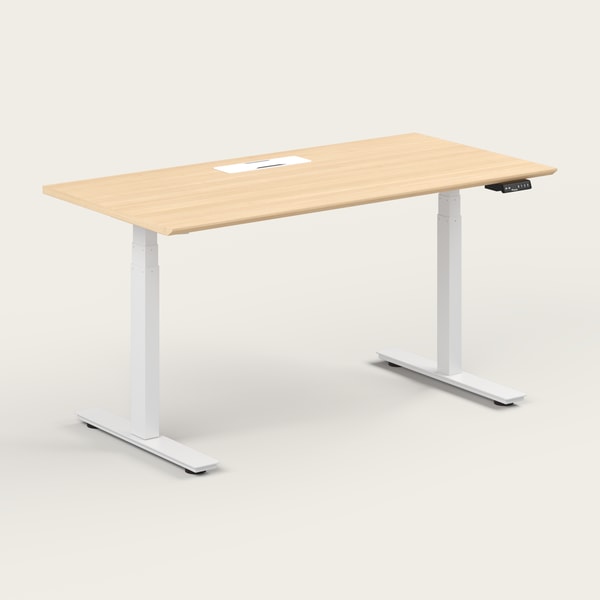 Recess Standing Desk Review
