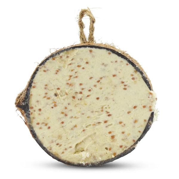 Vivara Half Coconut Filled with Mealworms & Insects Review