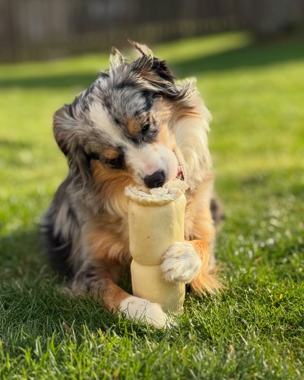 About Redbarn Pet Products