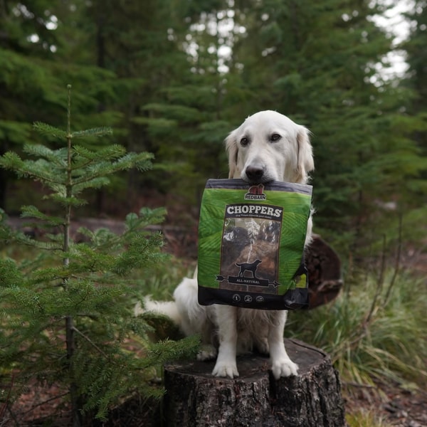 Redbarn Pet Products Review