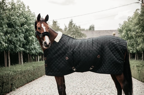 Reitsport Schockem&ouml;hle Bewertung