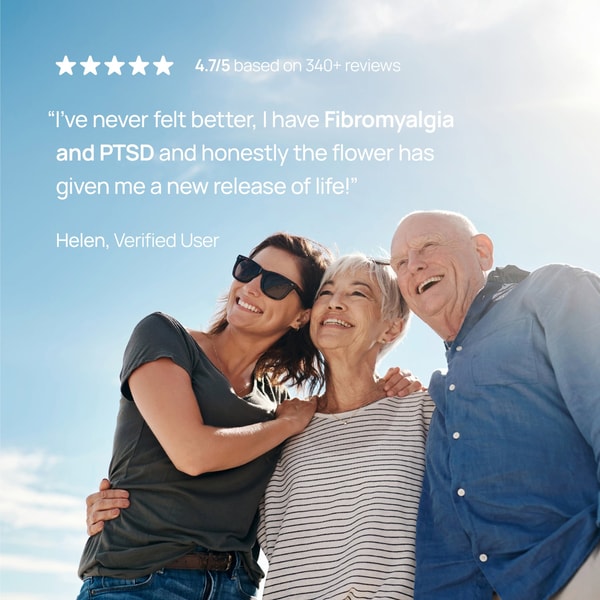 Releaf Plan Review