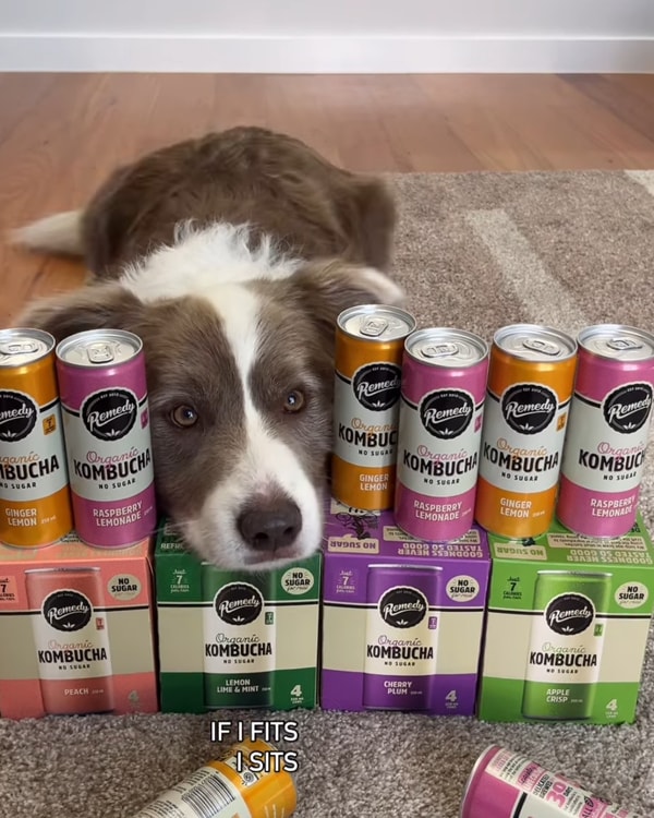 About Remedy Drinks