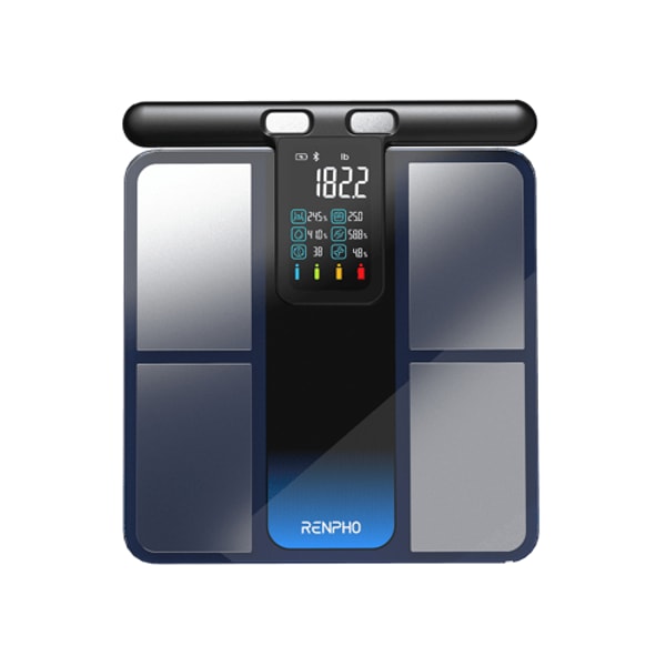 RENPHO MorphoScan Smart Scale Review