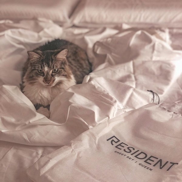 Resident Home Bed Frames Review
