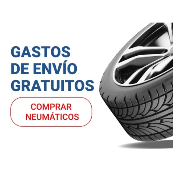 Resumen de Recambioscoche.es