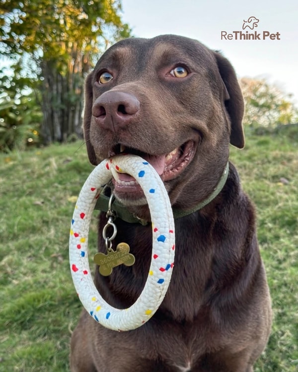 About ReThink Pet
