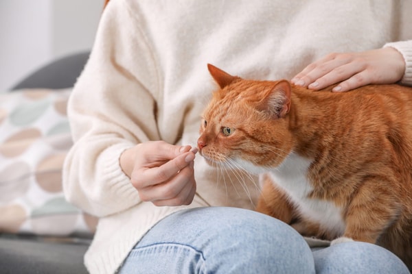 About Revival Animal Health