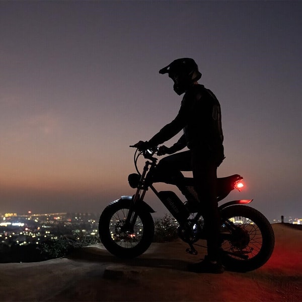 About Ridstar