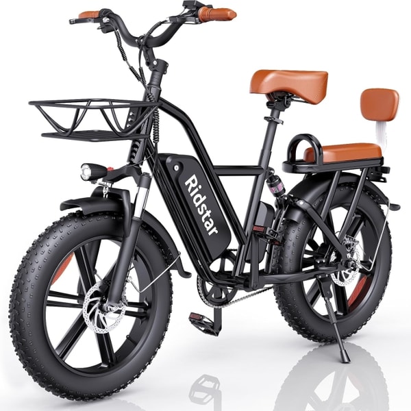 Ridstar FM001 2-Seater Fat Tire Electric Bike Reviews