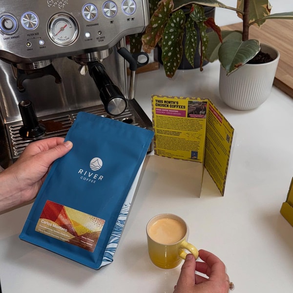 RISE Coffee Box Review