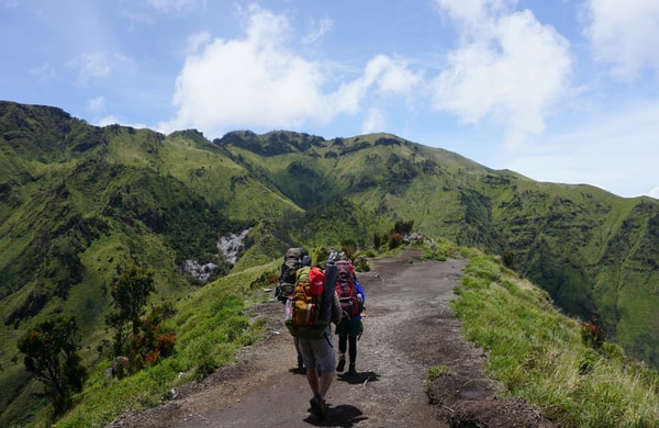 Rise & Shield Trekking Insurance Review