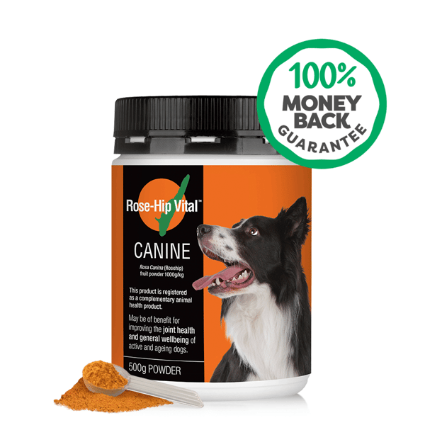 Rose-Hip Vital Canine Review