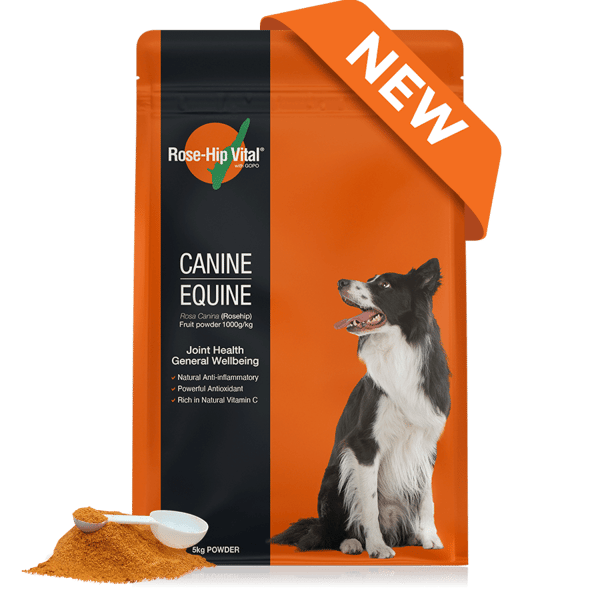 Rose-Hip Vital Canine Refill Review