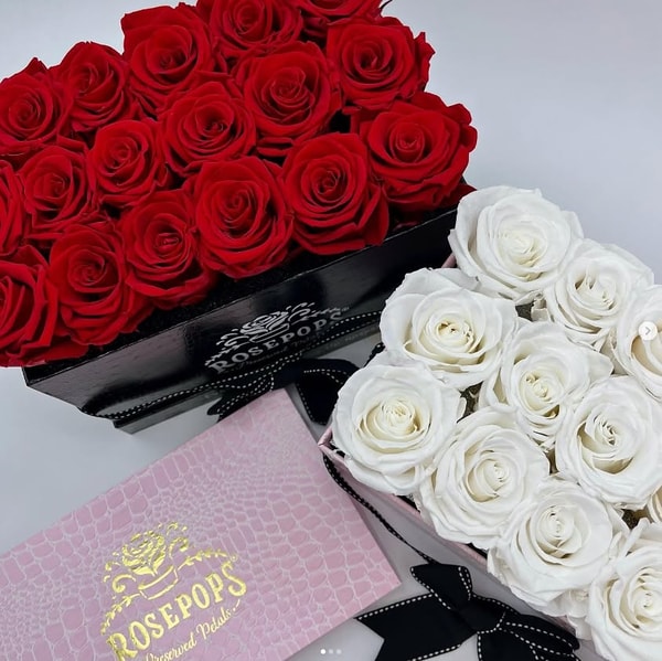 About Rosepops