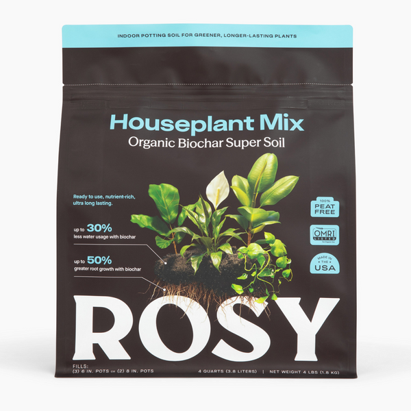 Rosy Soil Houseplant Soil Review