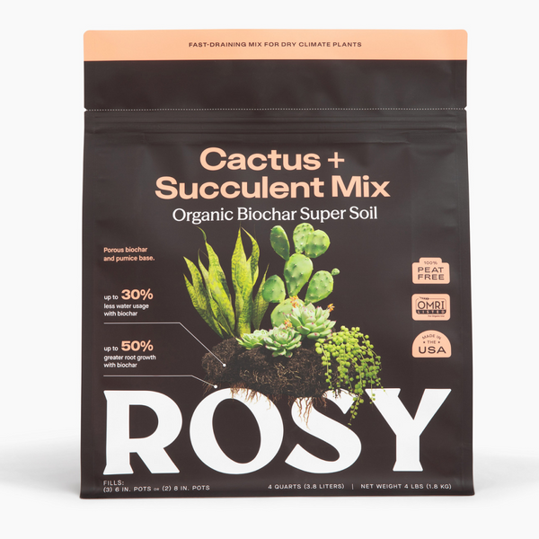 Rosy Soil Cactus & Succulent Soil Review