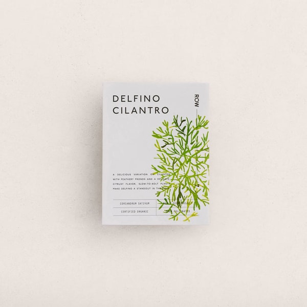 Row 7 Seed Company Delfino Cilantro Seeds Review
