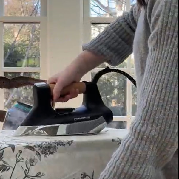 Understanding Rowenta's Home Care Role