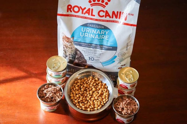 About Royal Canin