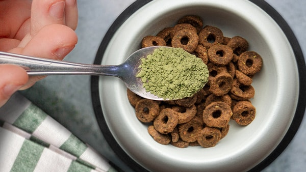 Ruff Greens: Best Canine Nutrition Solutions