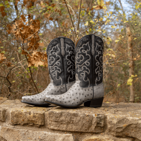 Rujo Gavin Full-Quill Ostrich Review