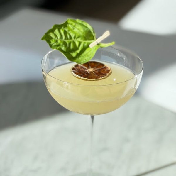 SaloonBox Monthly Craft Cocktail Membership Review