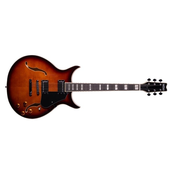 Sam Ash Washburn SH35TS Semi-Hollow 6-String Electric Guitar Tobacco Sunburst Review