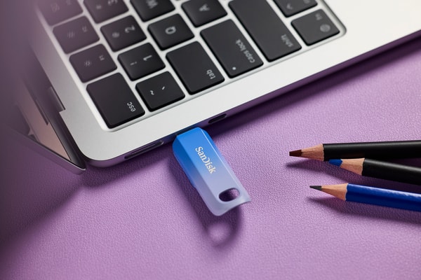 About Sandisk
