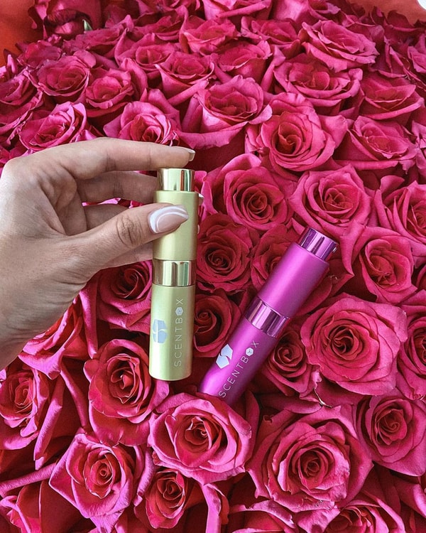 Overview of ScentBox 