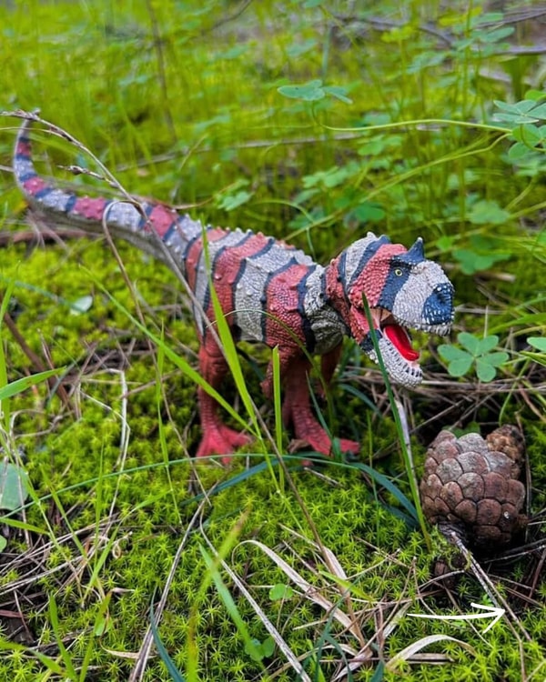 &Uuml;berblick &uuml;ber schleich