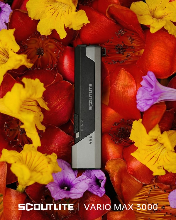 About Scoutlite