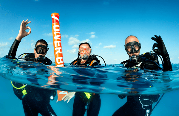 Rise & Shield Scuba Diving Insurance Review
