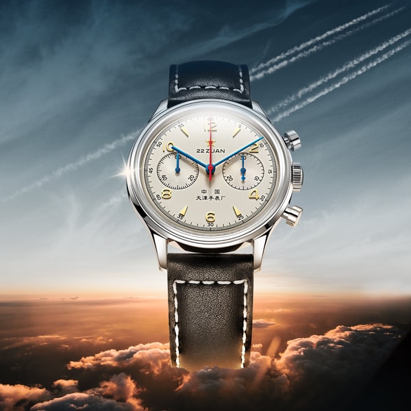 Sea-Gull Review