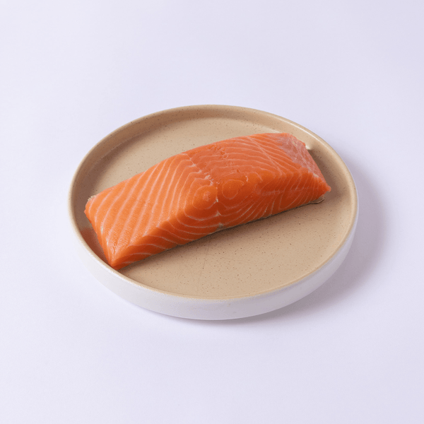 Seatopia Salmon Lover's Box Review