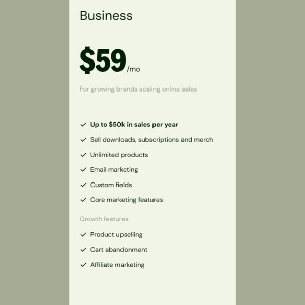 Sellfy Business Plan Review