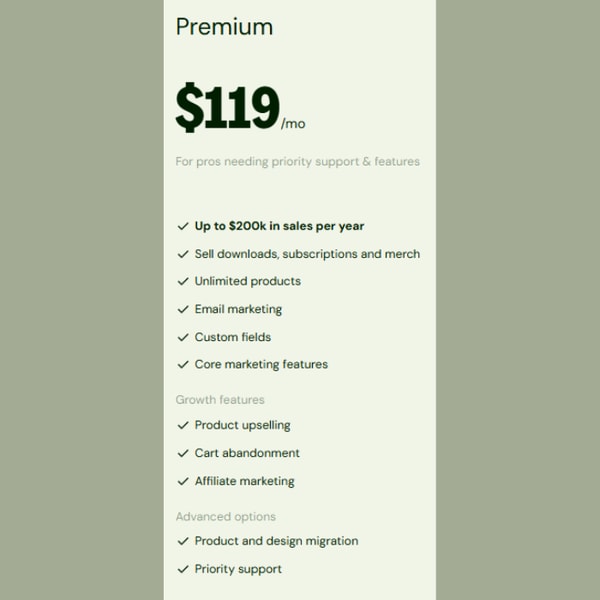 Sellfy Premium Plan Review