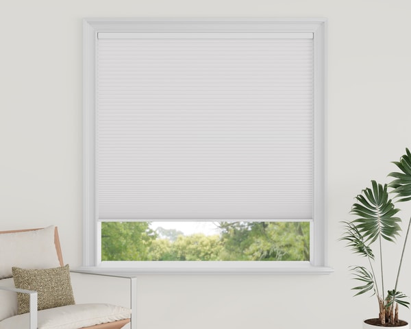 Sense Blinds Cordless Blackout Cellular Shades Review