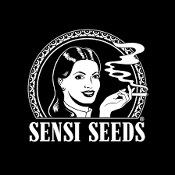 Sensi Seeds vs Dutch Passion &ndash; Vergleich etablierter Cannabissamen-Anbieter