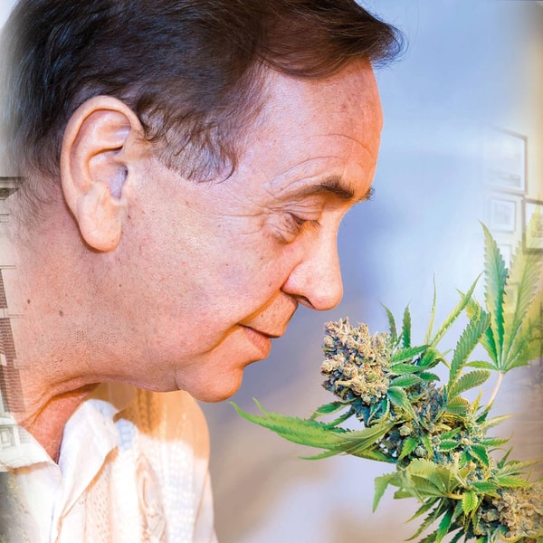 Sensi Seeds Review