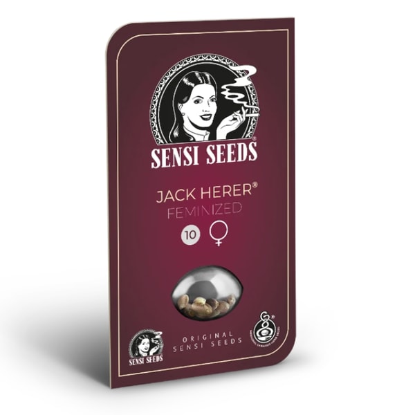 Sensi Seeds Jack Herer Feminized Review