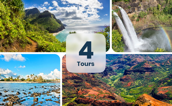 Shaka Guide Kauai Tour Bundle Review
